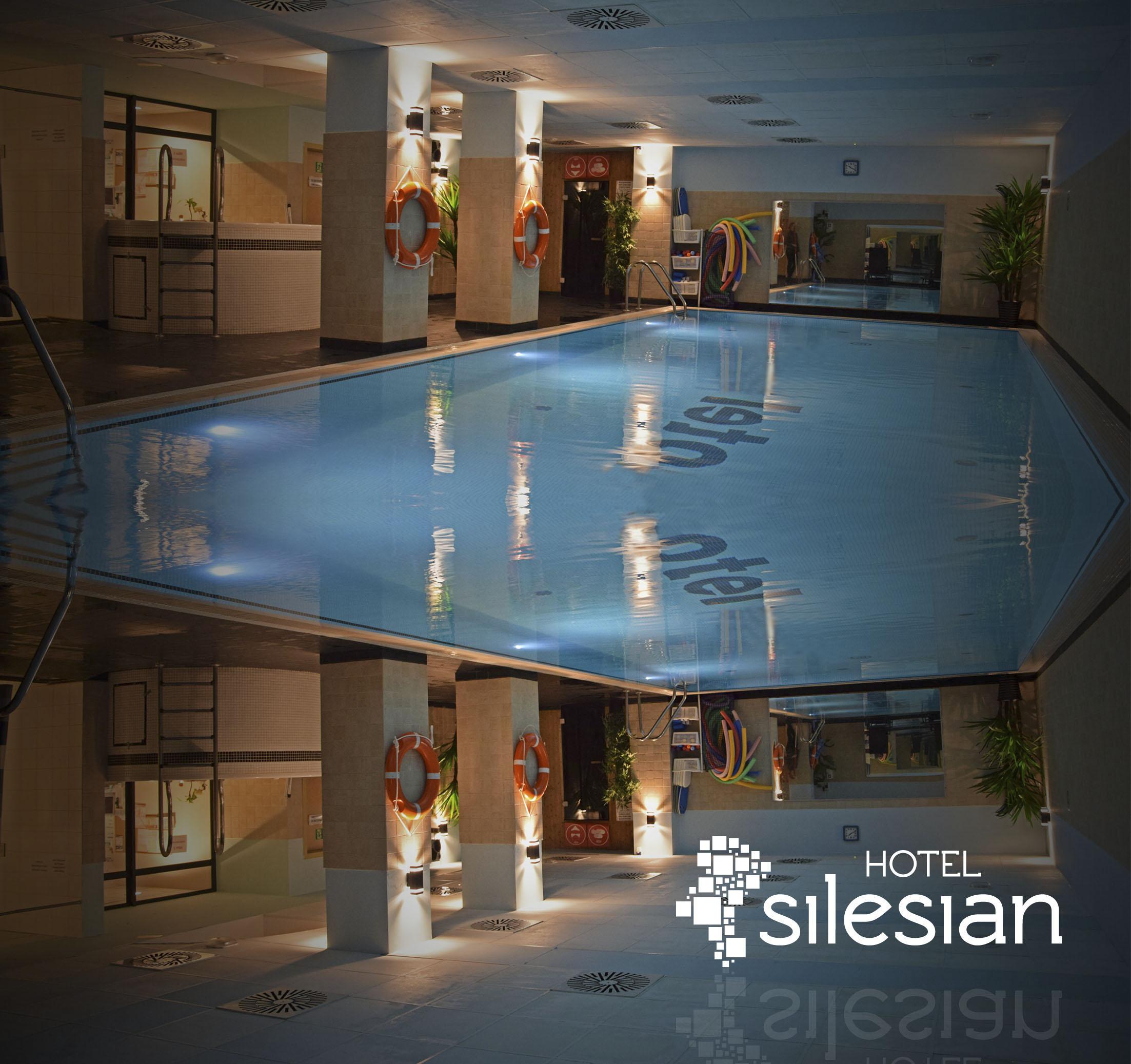 Economy Silesian Hotel Katowice Exterior foto